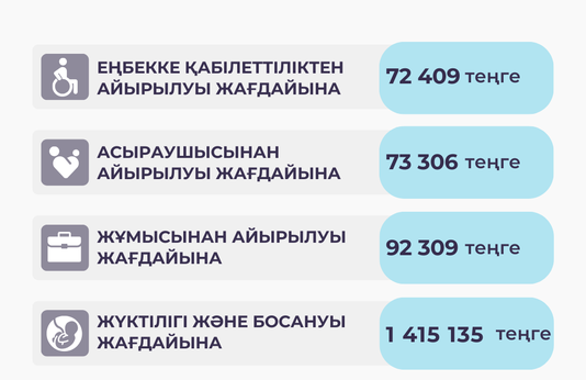 	Қантар-желтоқсан 2025